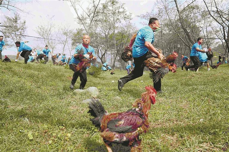 民族特色健, amp, 拾华 民族特色健, amp, 拾华